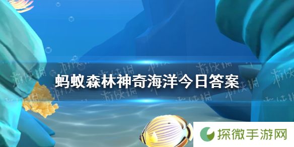 以下哪一种海洋生物被称为海洋中的活鱼雷  神奇海洋3月23日答案