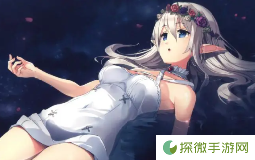 爱酱
