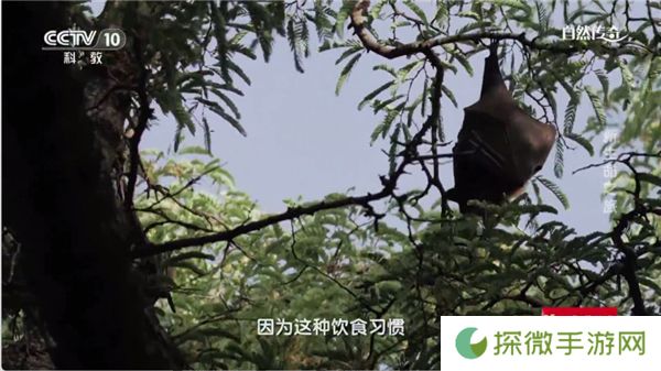 时光未央