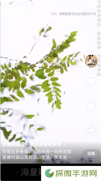 天涯短剧升级版