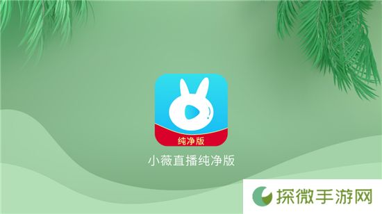 野草助手TV版