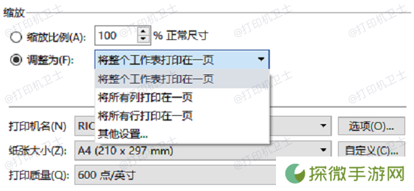 在打印设置中调整尺寸