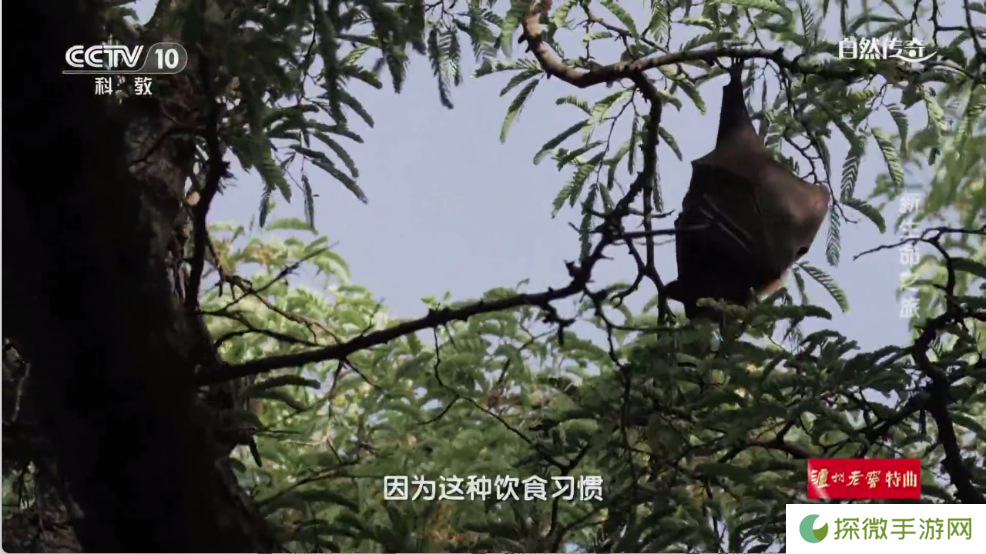 时光未央