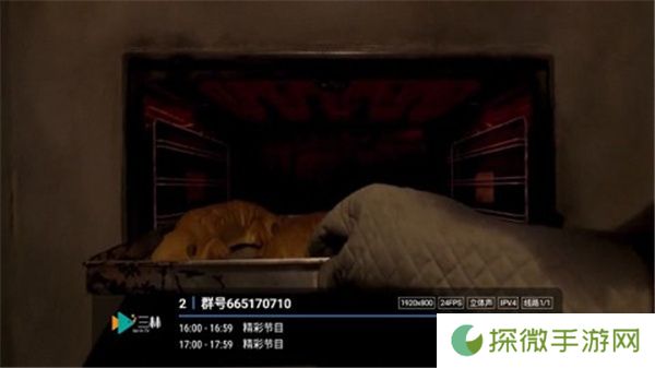 暮雨直播