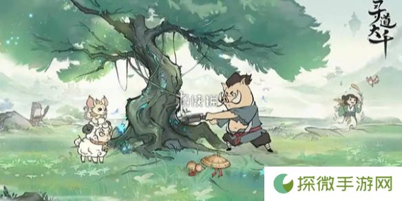 寻道大千炼药大会药师对决怎么玩-寻道大千炼药大会药师对决活动玩法介绍