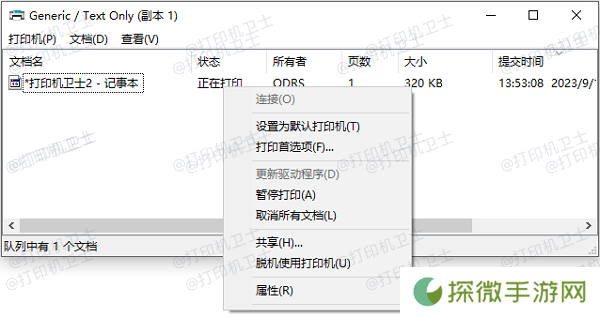 通过打印队列查看