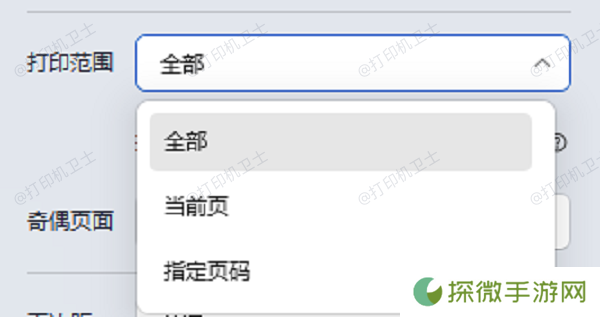 检查打印设置