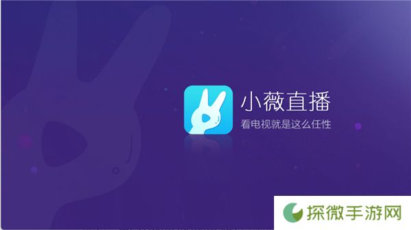 小薇直播2025