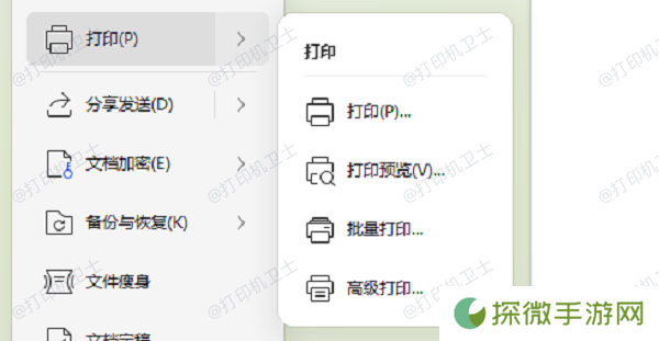 预览打印文件