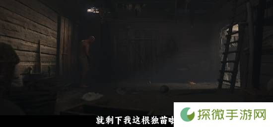 极乐软件园