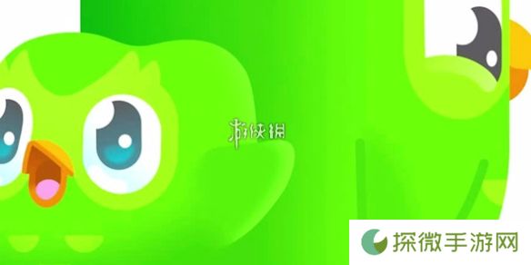 多邻国怎么换语种-多邻国语言切换教程