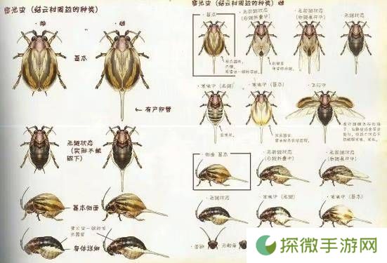极乐软件园