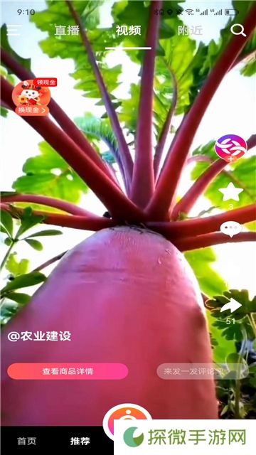 米蕉点视