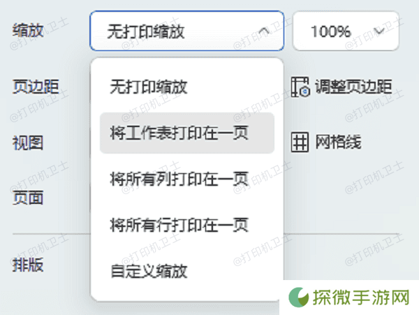 调整缩放