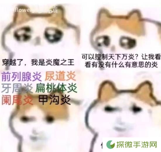 极乐软件园