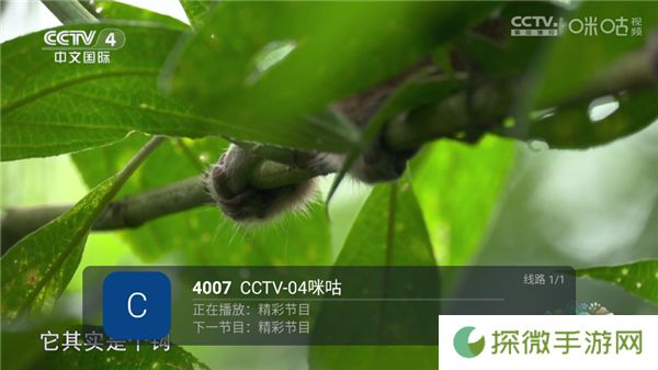 前线电视直播t