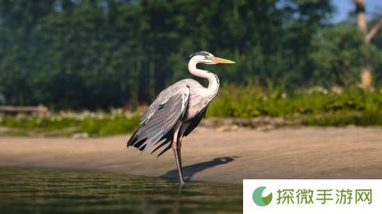 极乐软件园