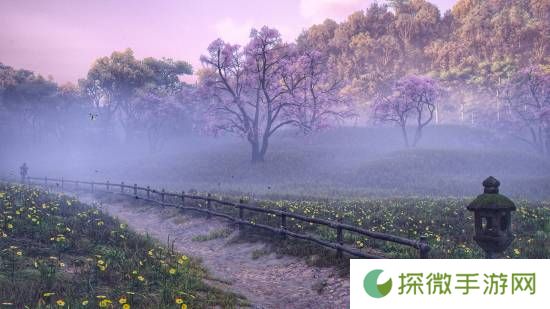极乐软件园