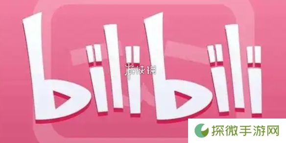年度小会员是什么-b站年度小会员介绍