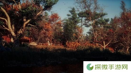 极乐软件园