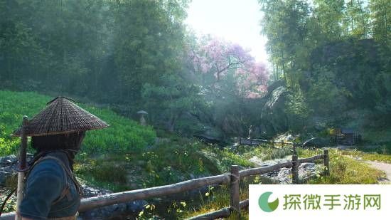 极乐软件园