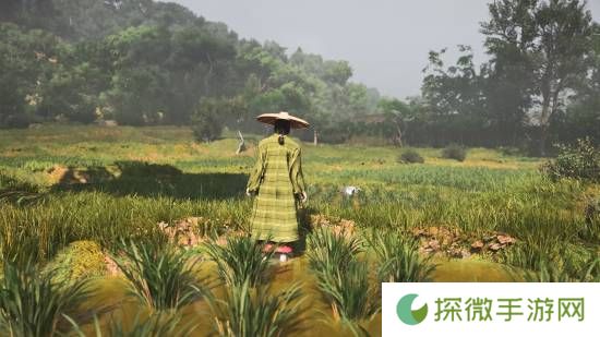 极乐软件园