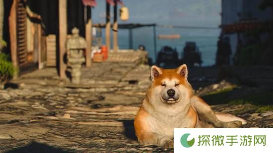 极乐软件园