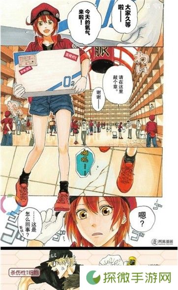 速速动漫免费版app下载安装-速速动漫(永久大会员)免费阅读下载v18.03.29